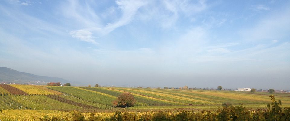 Landaus schöne Landschaft endecken - Heiligenthaler Hof